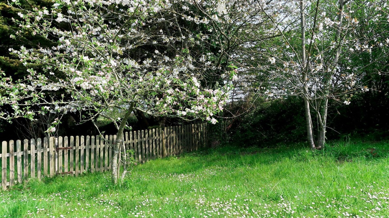 Photo of Outdoor in Plestin-les-Greves