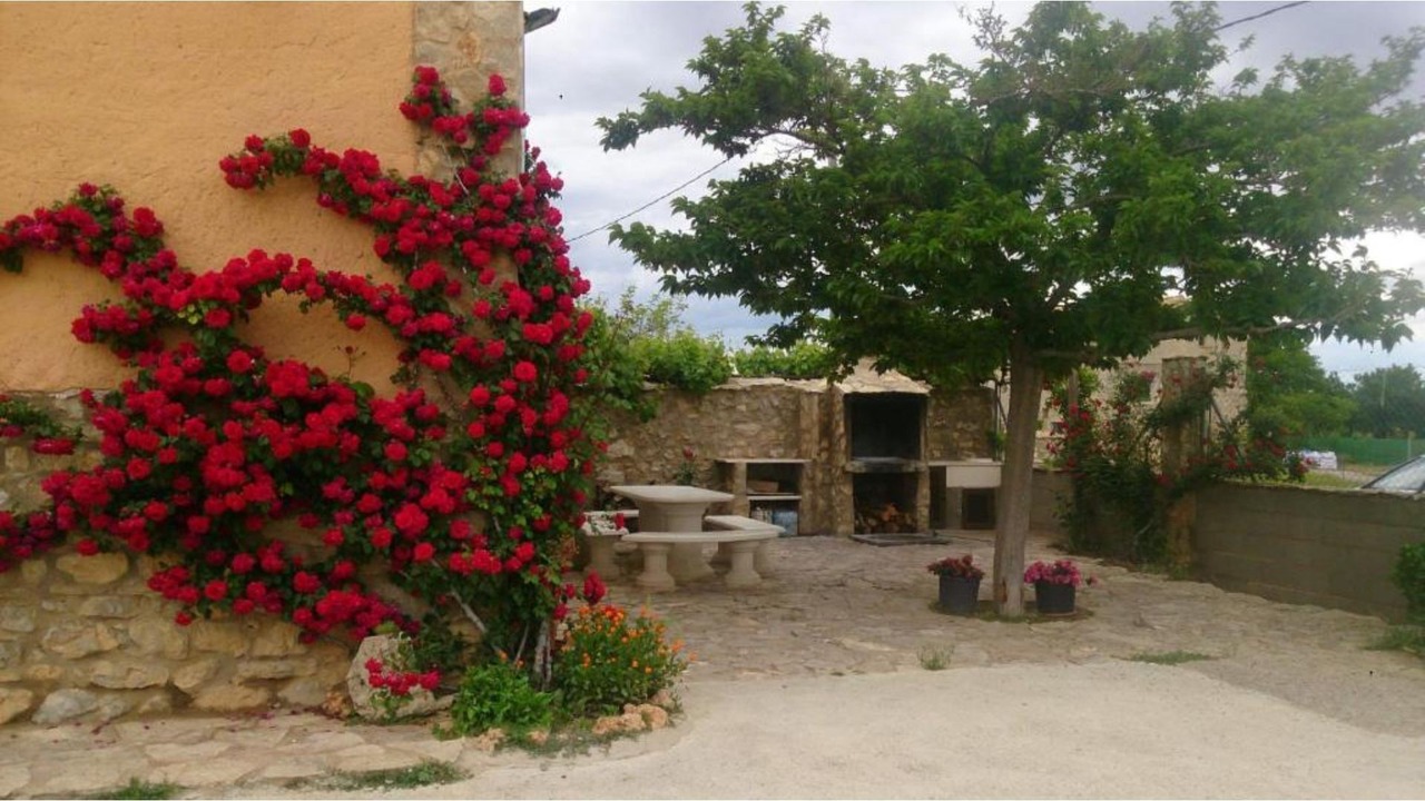 Photo of Outdoor in Cella