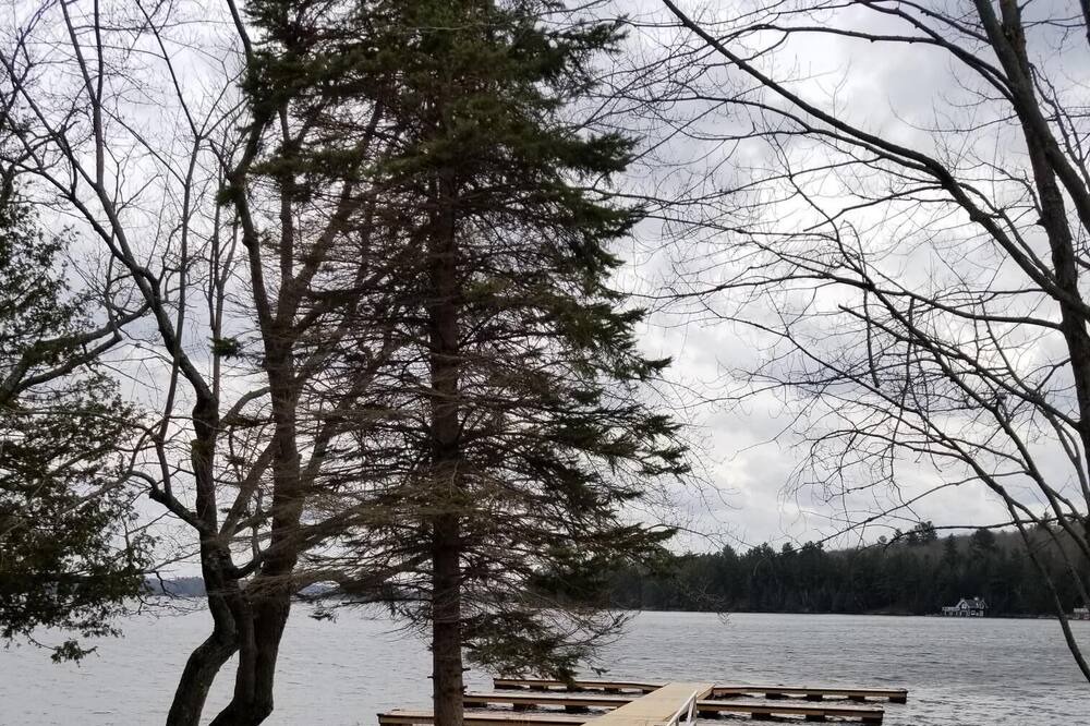Photo of Outdoor in Muskoka Lakes