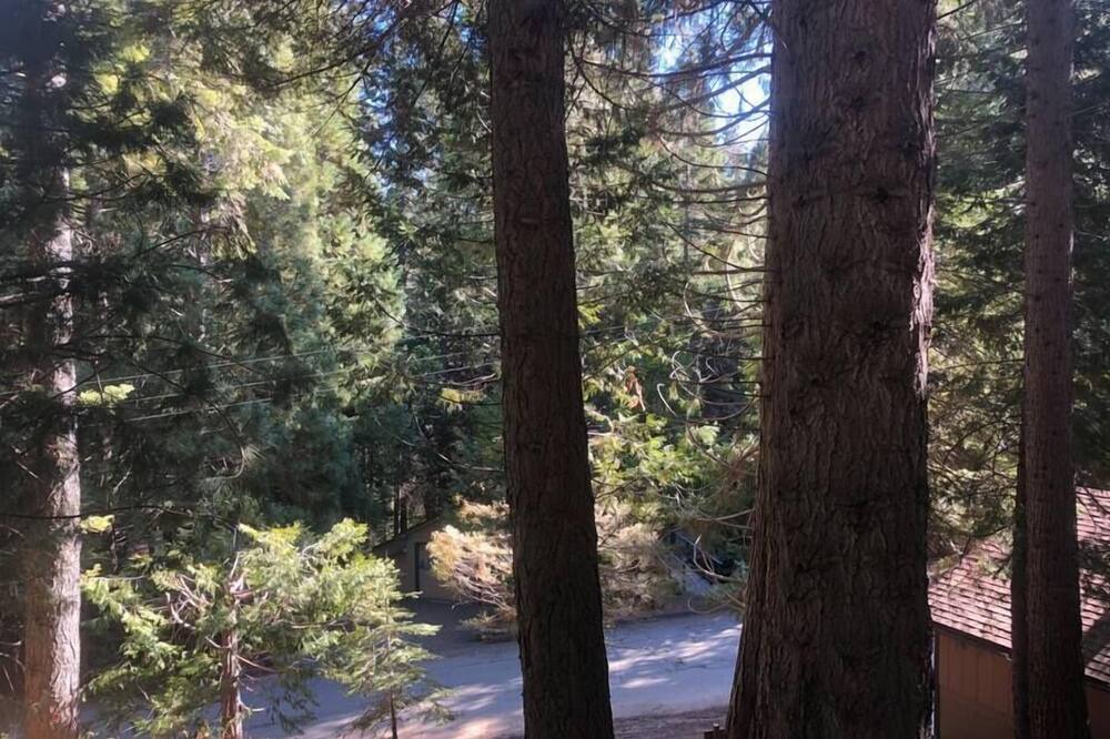 Photo of Outdoor in Fish Camp