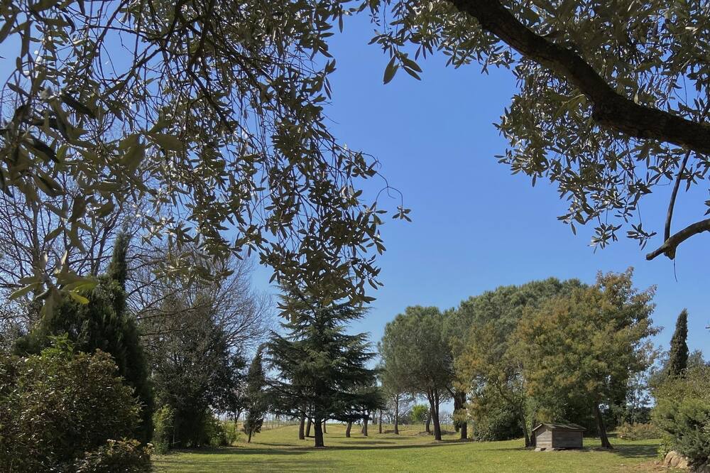 Photo of Outdoor in Llagostera