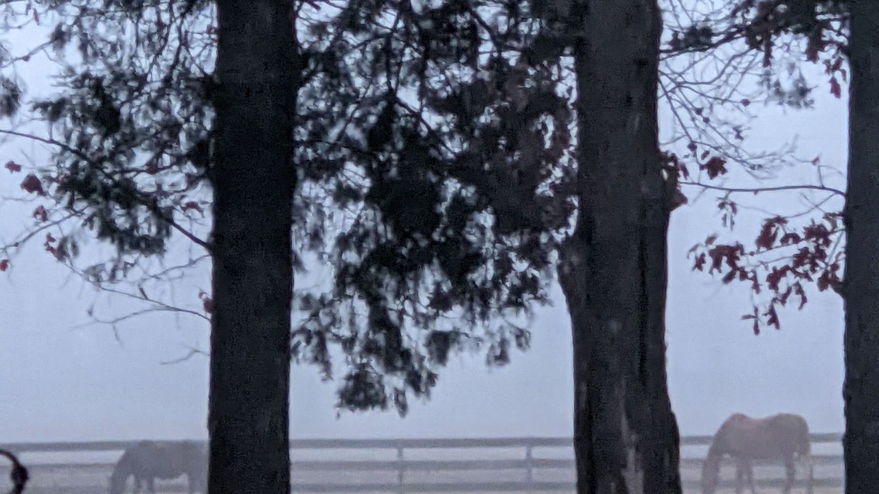 Photo of Others in Humboldt