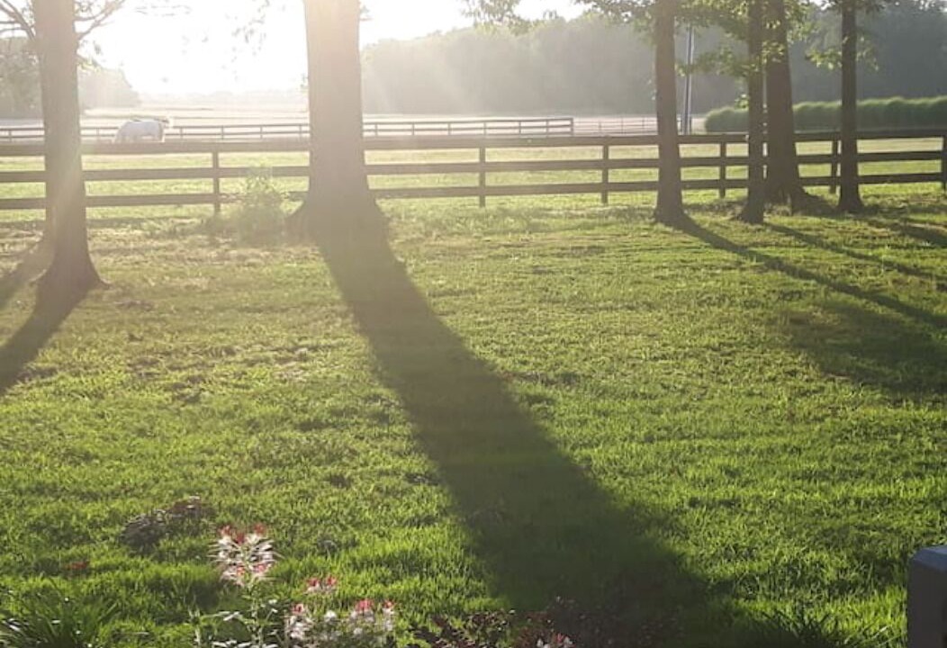 Photo of Outdoor in Humboldt