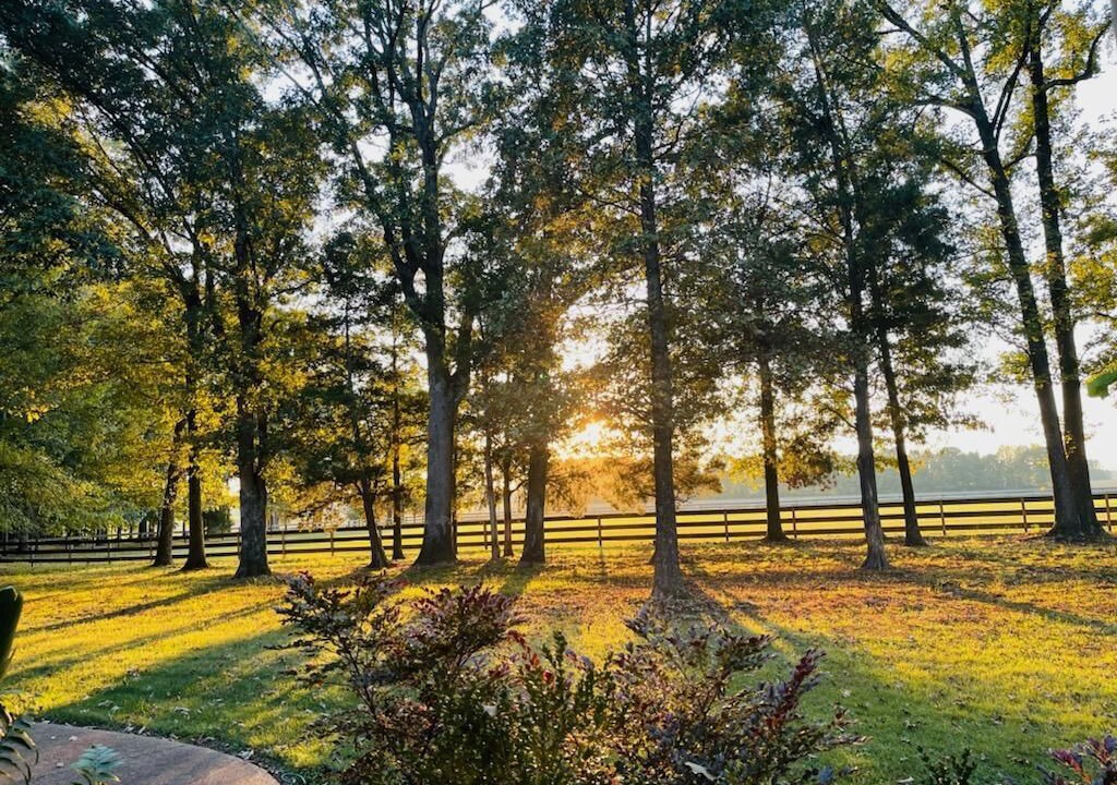 Photo of Outdoor in Humboldt