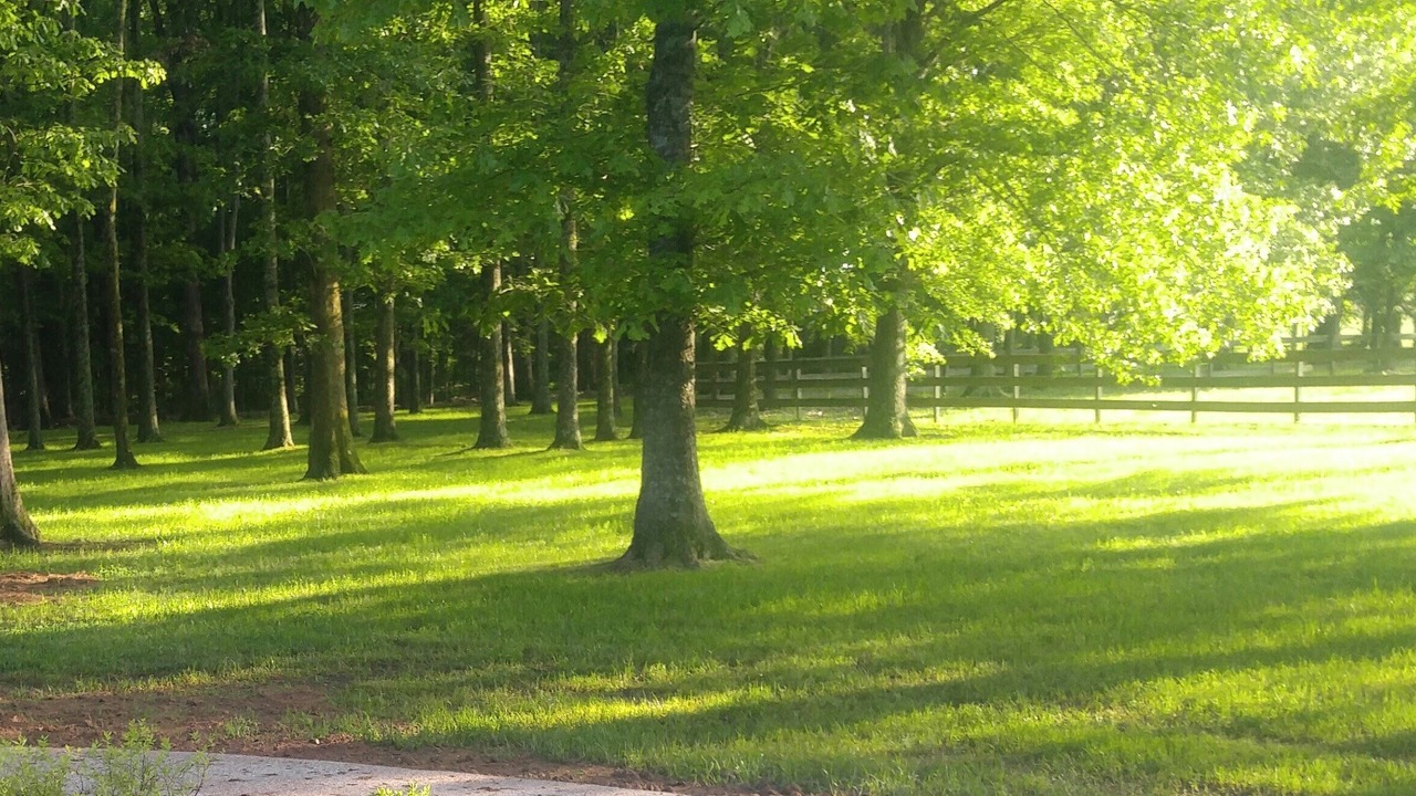Photo of Outdoor in Humboldt