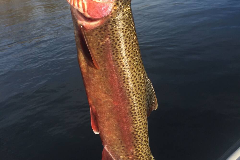Photo of Others in Mammoth Spring