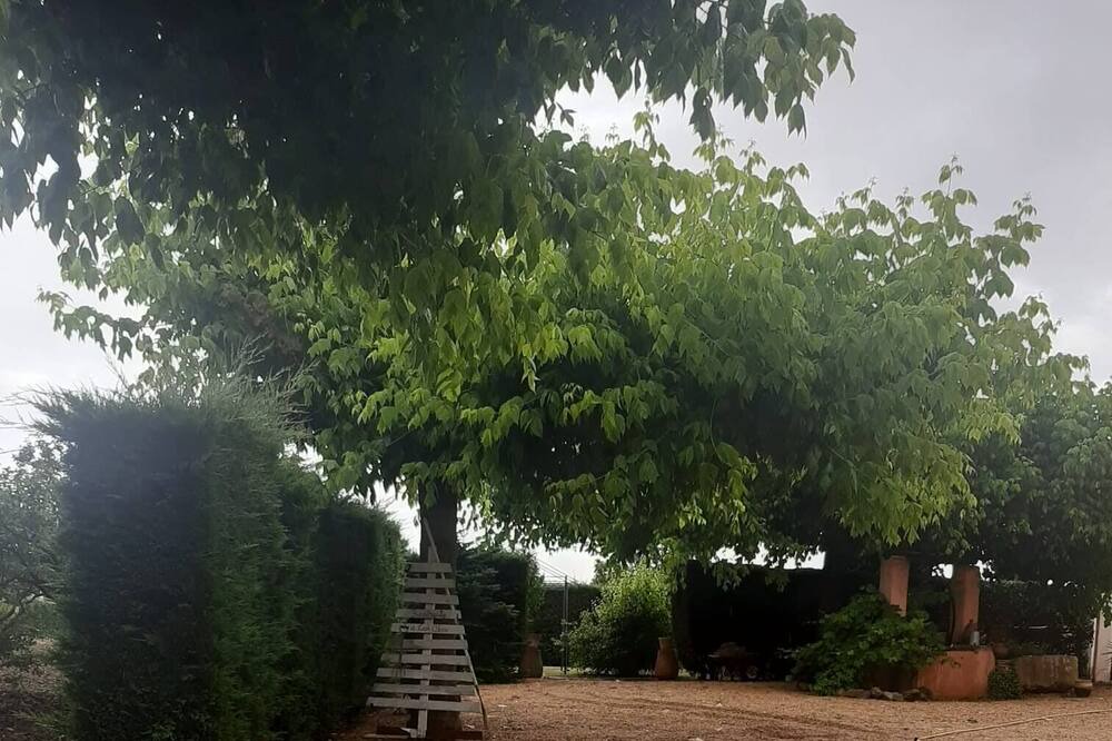 Photo of Outdoor in Vilobi d'Onyar