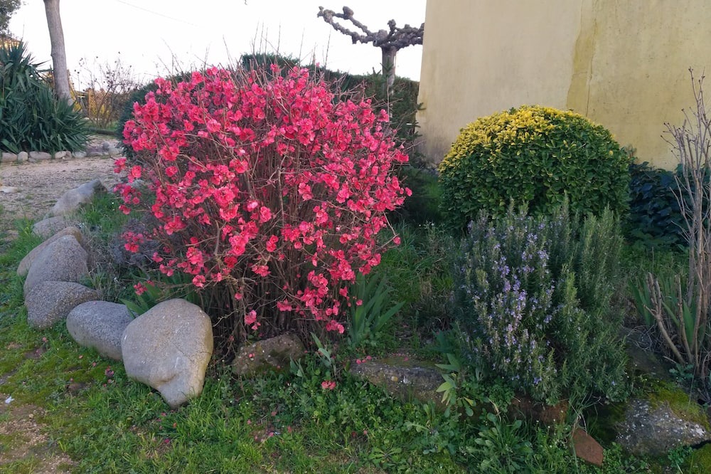 Photo of Outdoor in Vilobi d'Onyar