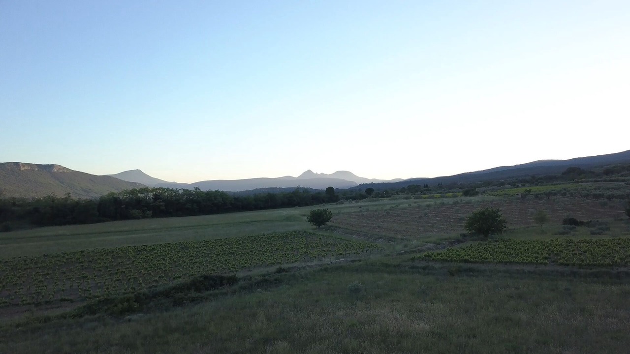 Photo of Others in La Cadiere-et-Cambo