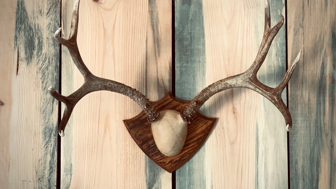 Photo of Others in Ponderay