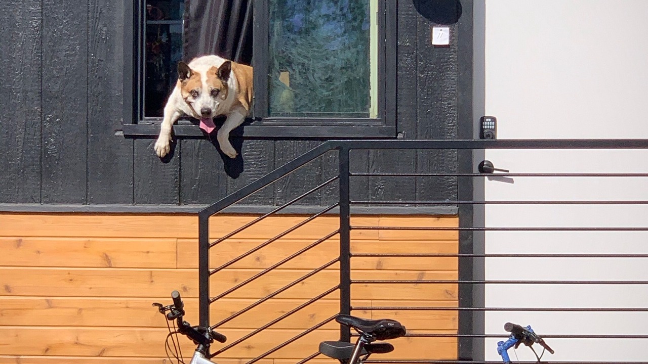 Photo of Others in Ponderay