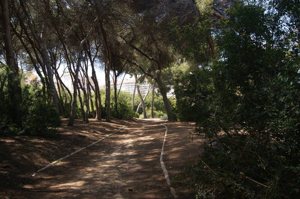 Photo of Outdoor in Dehesa de Campoamor