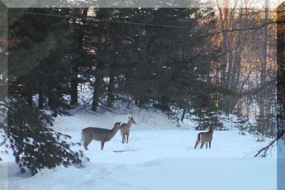 Photo of Others in Saint-Samuel