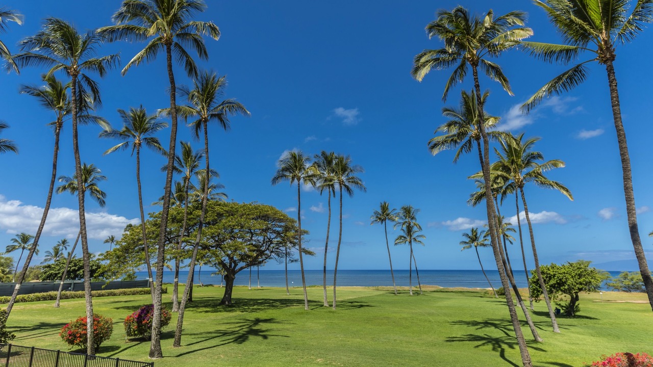 Photo of Outdoor in Kihei