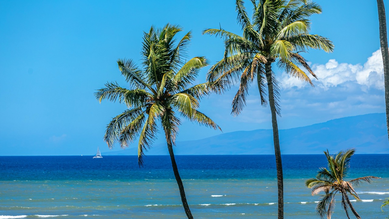 Photo of Others in Kihei