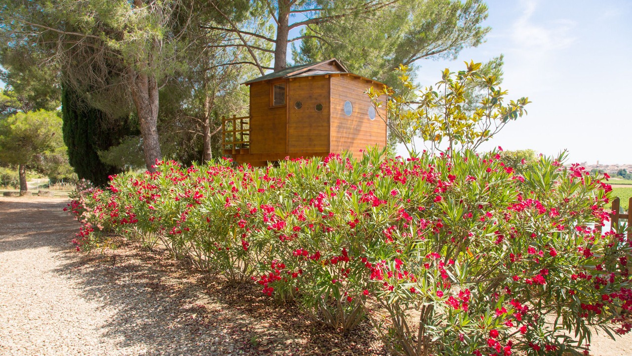 Photo of Outdoor in Cazouls-les-Beziers
