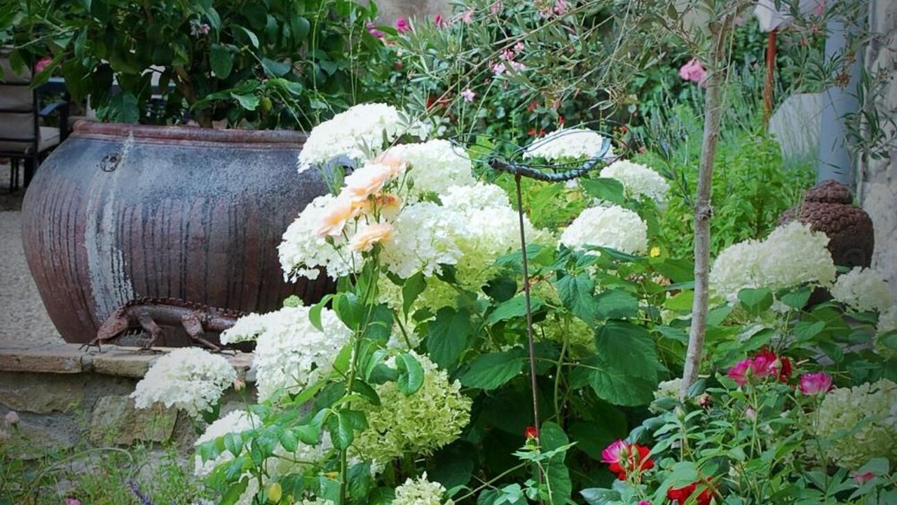 Photo of Outdoor in Le Fleix