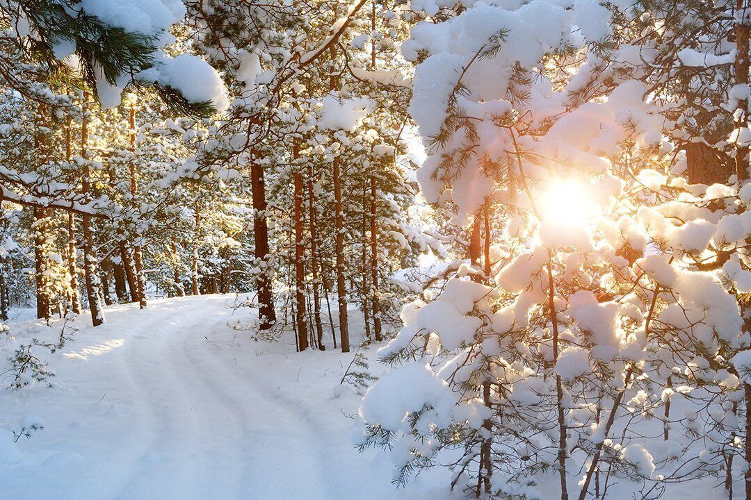 Photo of Outdoor in Gravenhurst