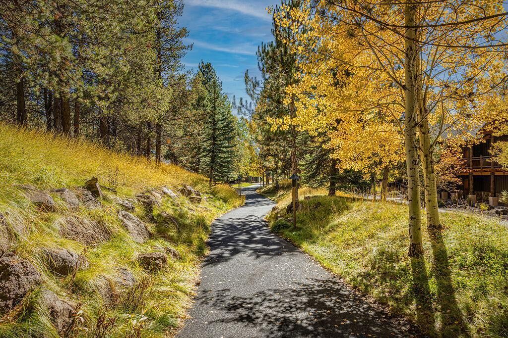 Photo of Others in Deer Park