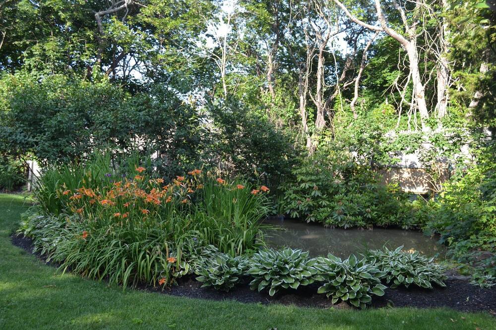 Photo of Others in Water Mill