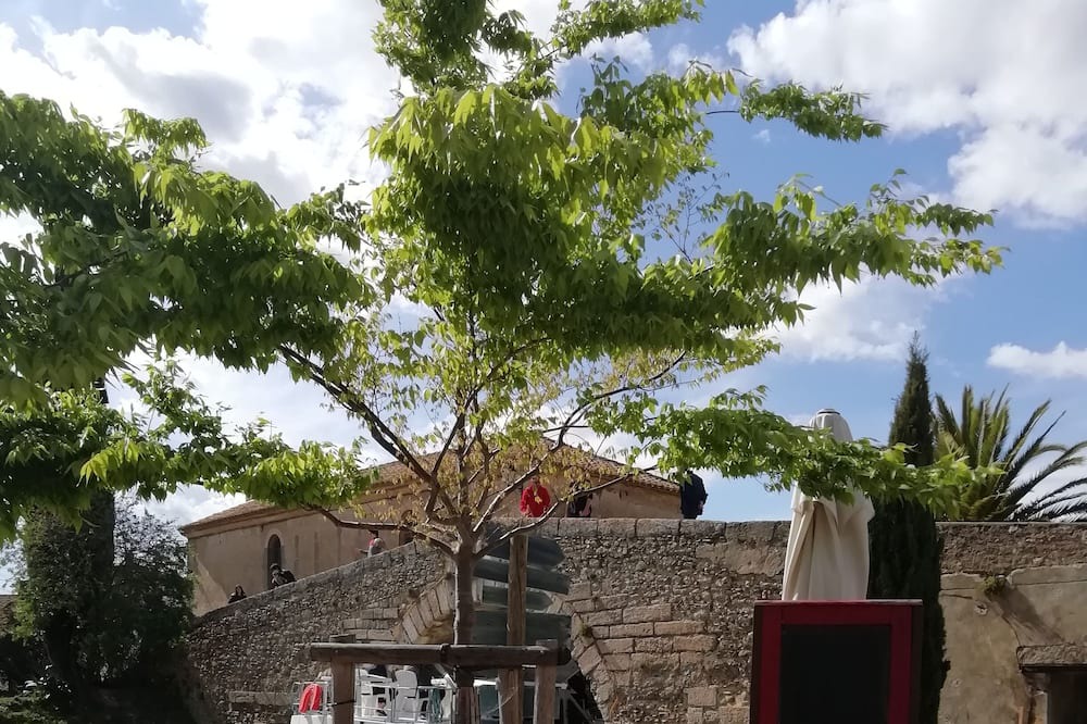 Photo of Others in Azille