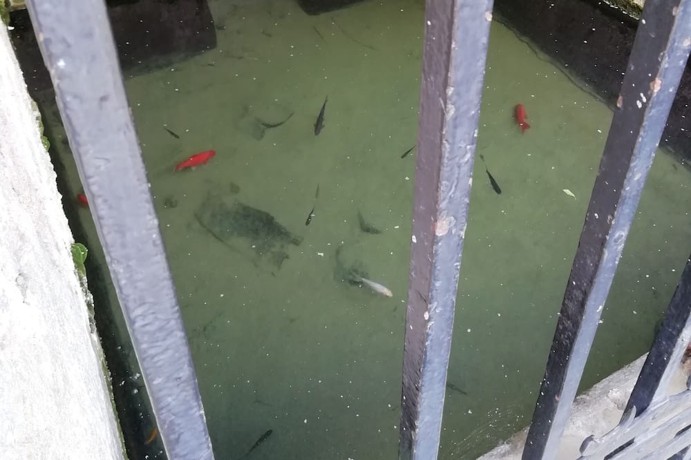 Photo of Others in Azille