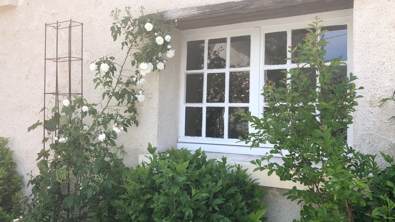 Photo of Outdoor in Amboise