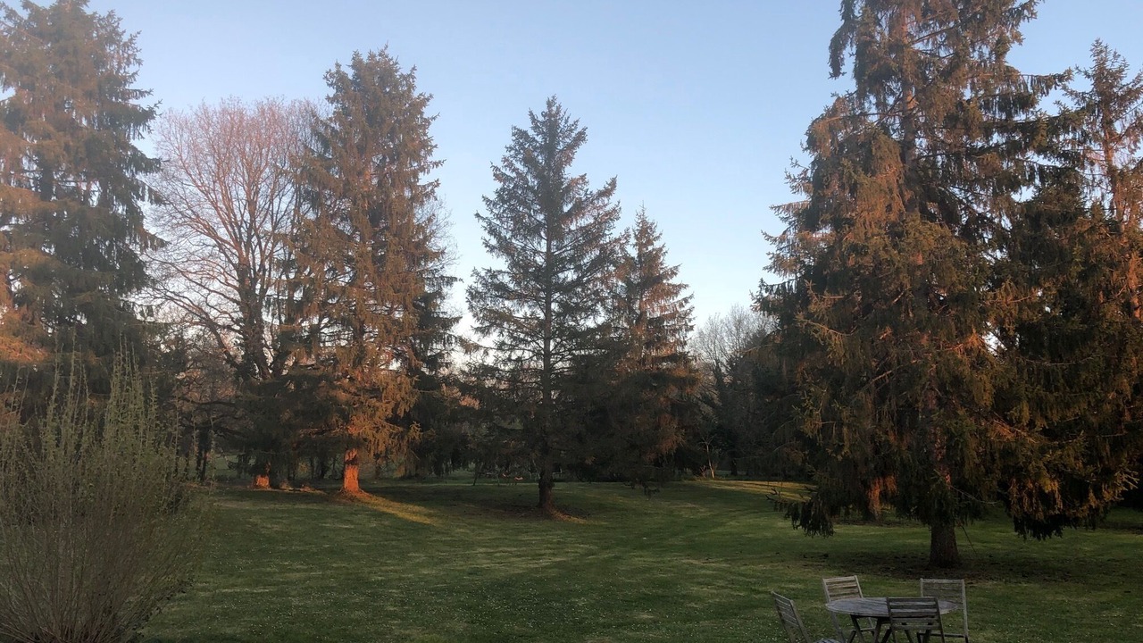 Photo of Outdoor in Amboise