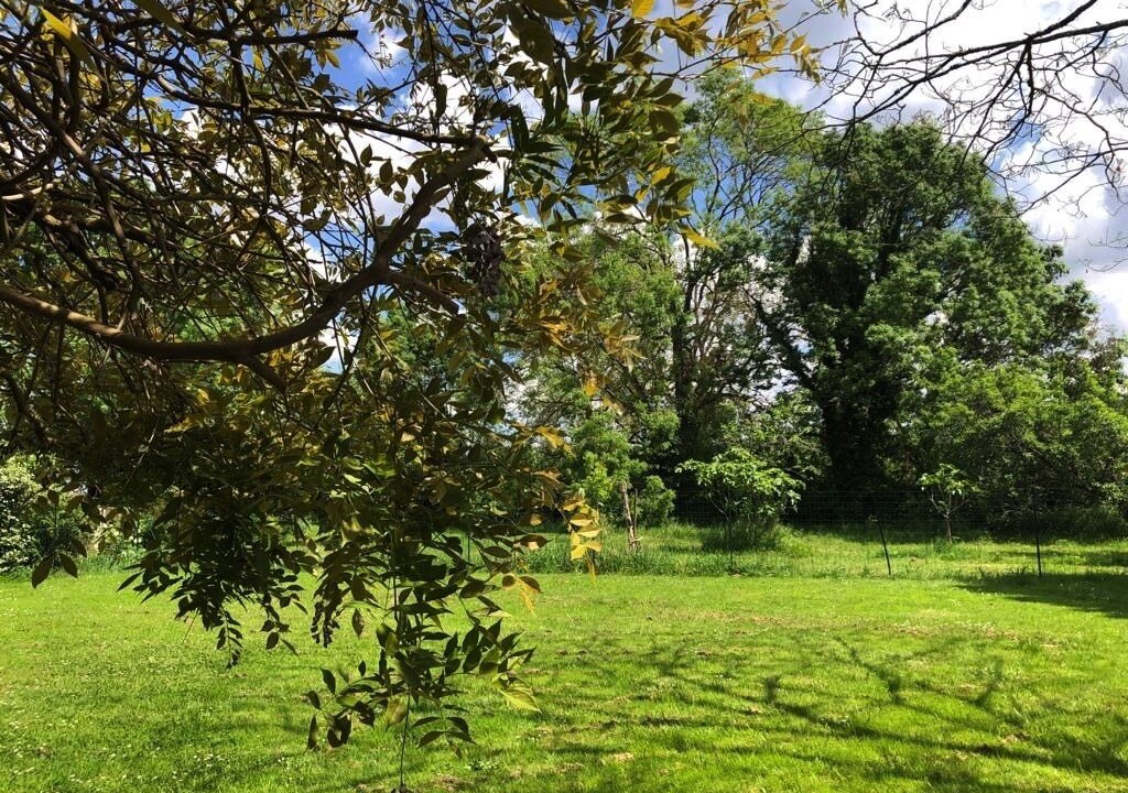 Photo of Outdoor in Sainte Gemme