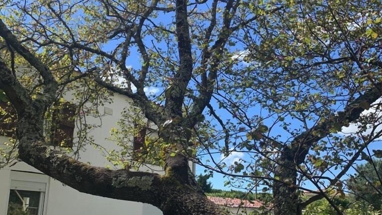 Photo of Outdoor in Sainte Gemme