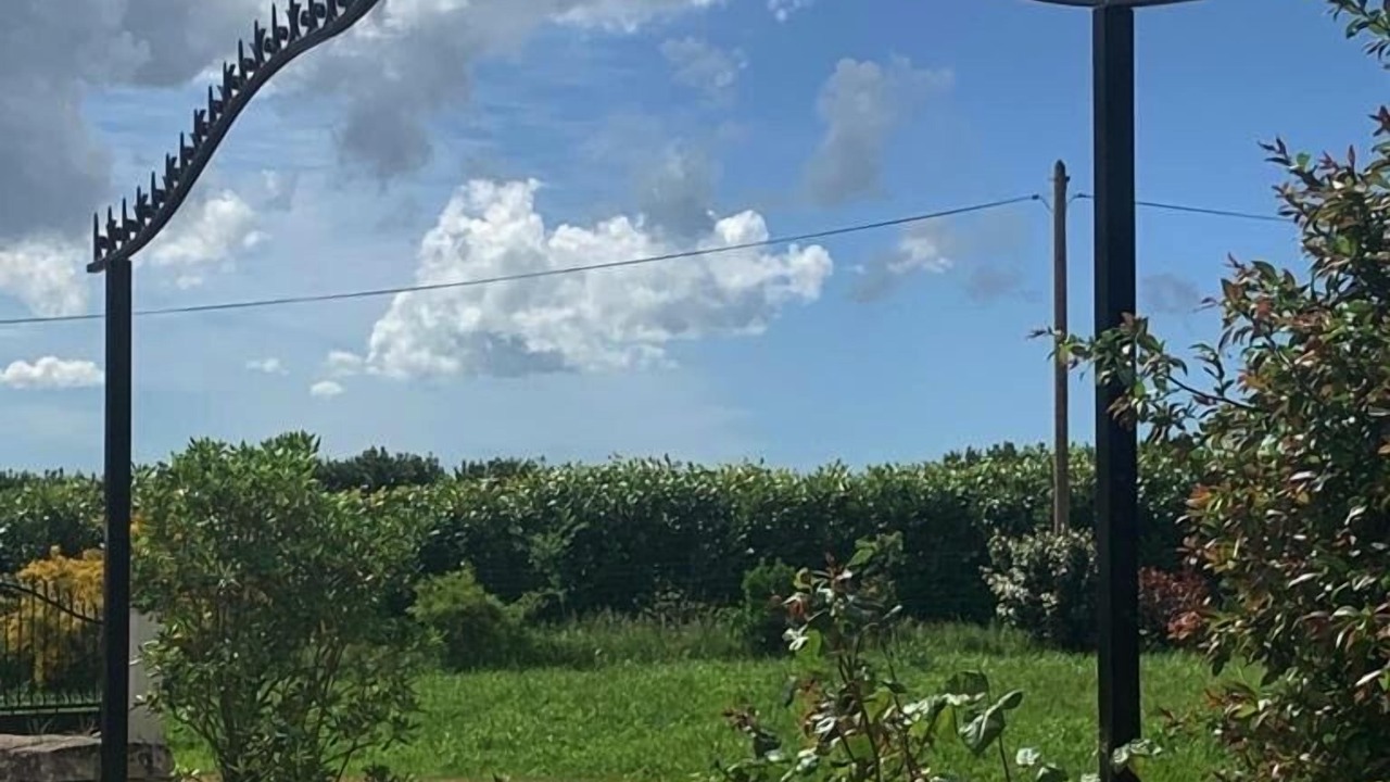 Photo of Others in Sainte Gemme