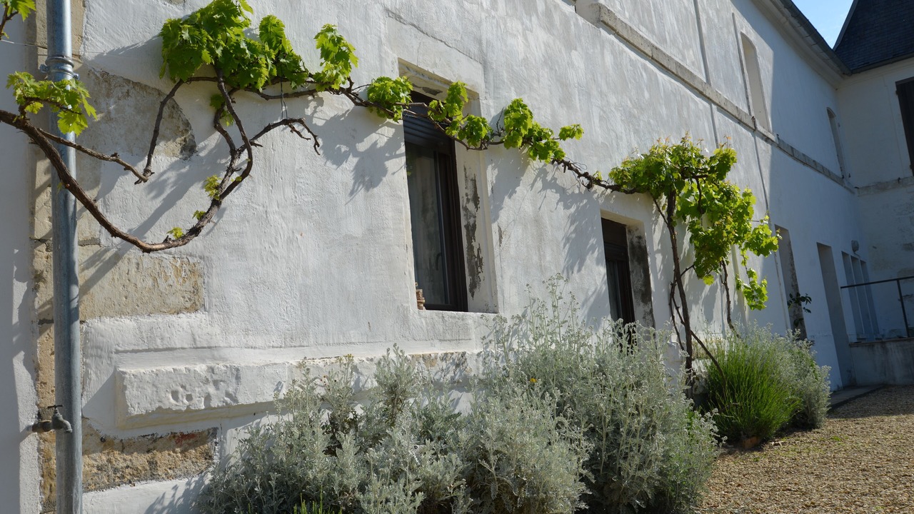 Photo of Outdoor in Sainte Gemme