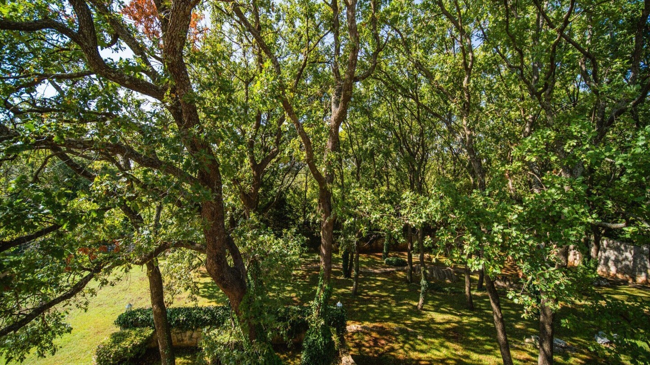Photo of Outdoor in Cilipi