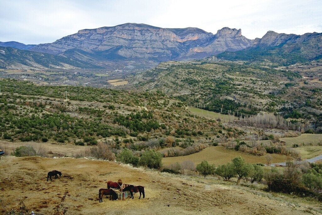 Photo of Others in Roda de Isabena