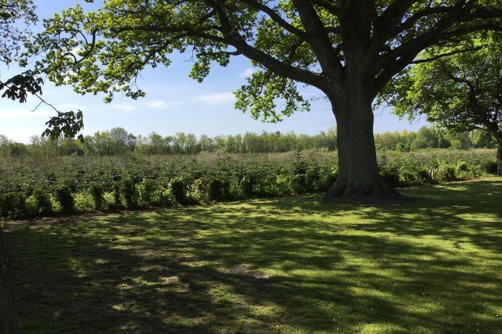 Photo of Outdoor in Læsø