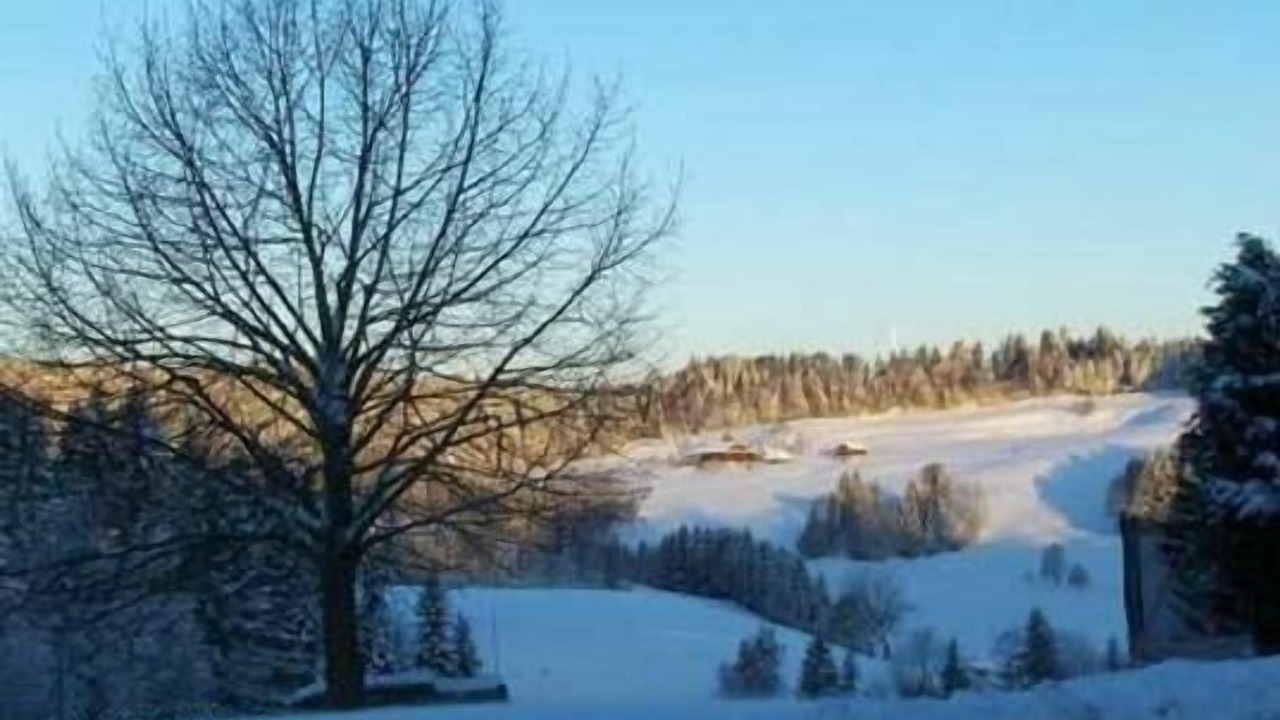 Photo of Others in Luthern