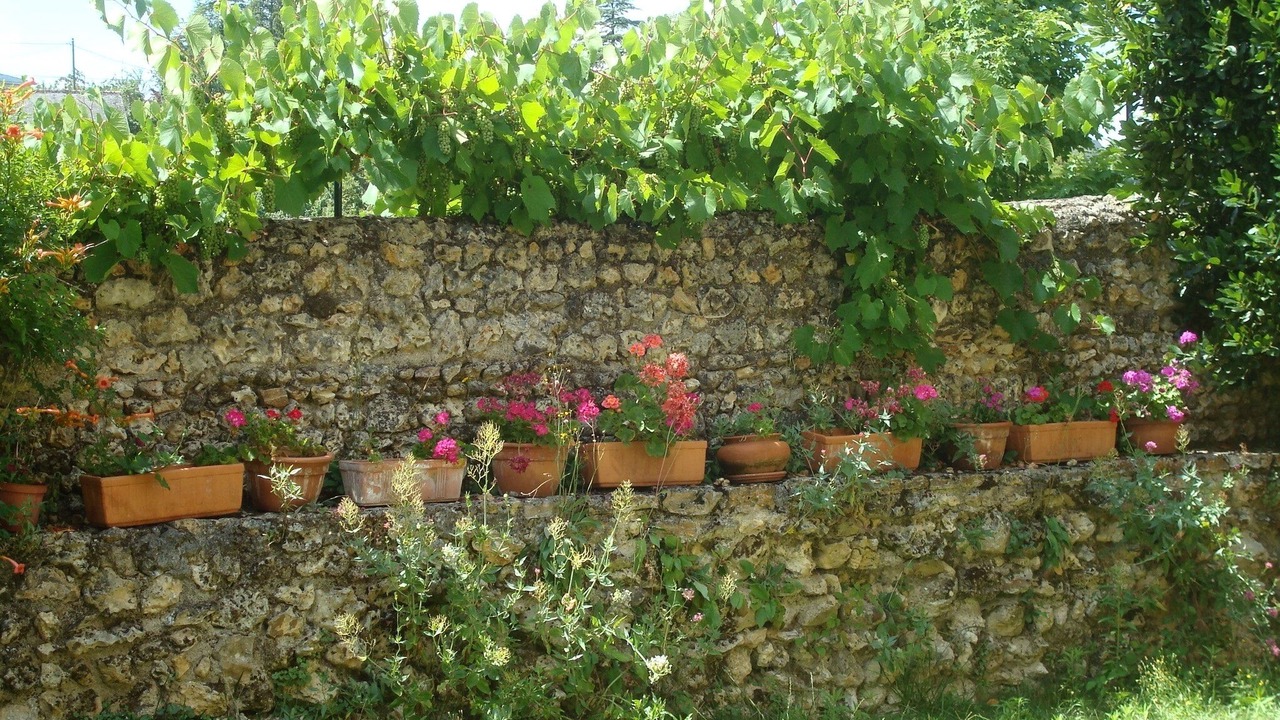 Photo of Outdoor in Vouvray
