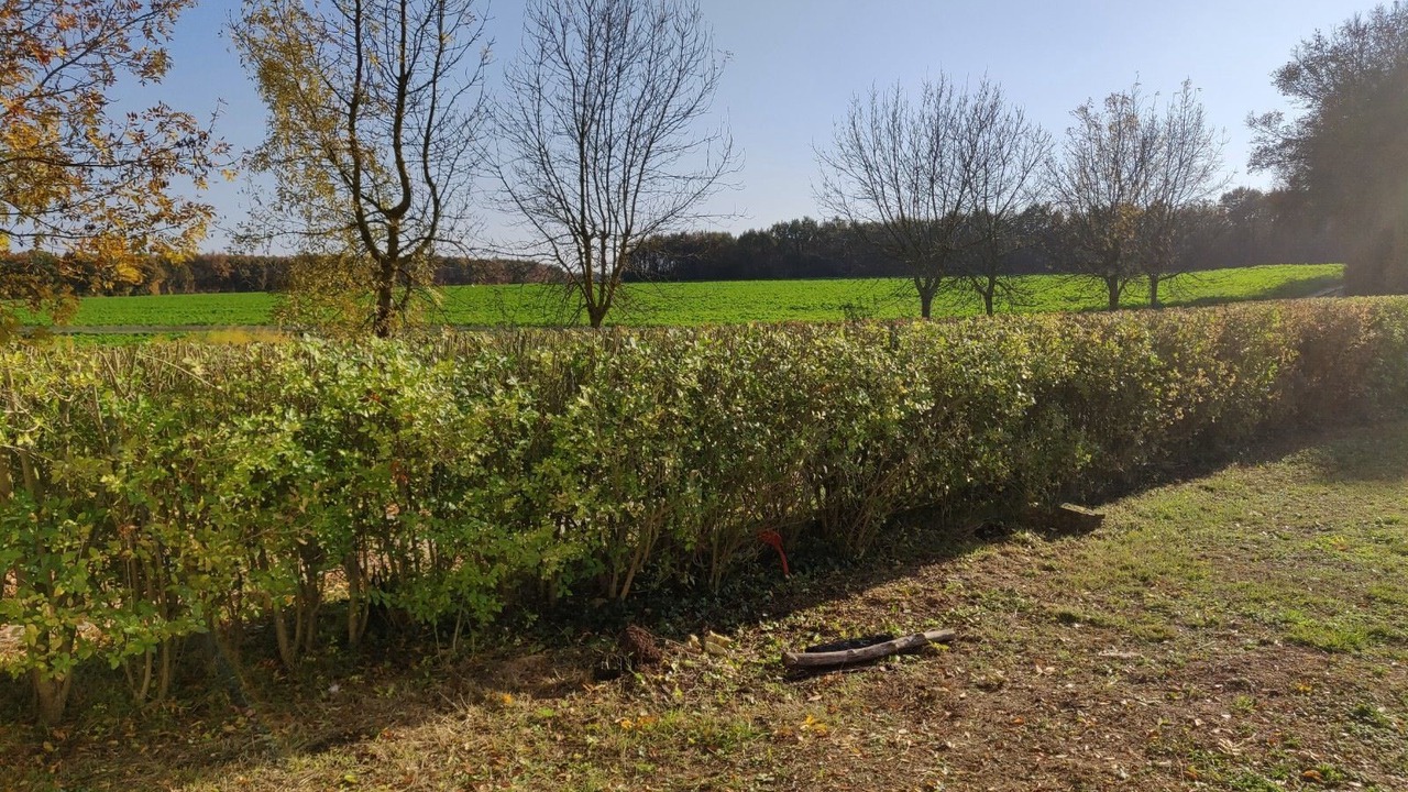 Photo of Outdoor in Aulnay