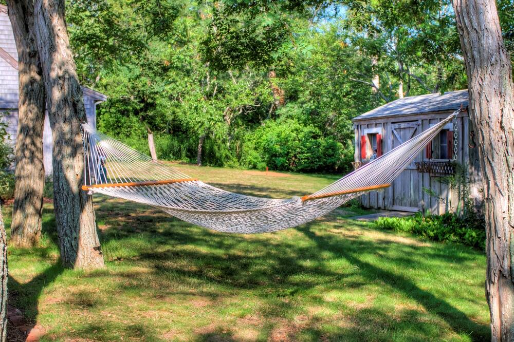 Photo of Others in Campground Landing
