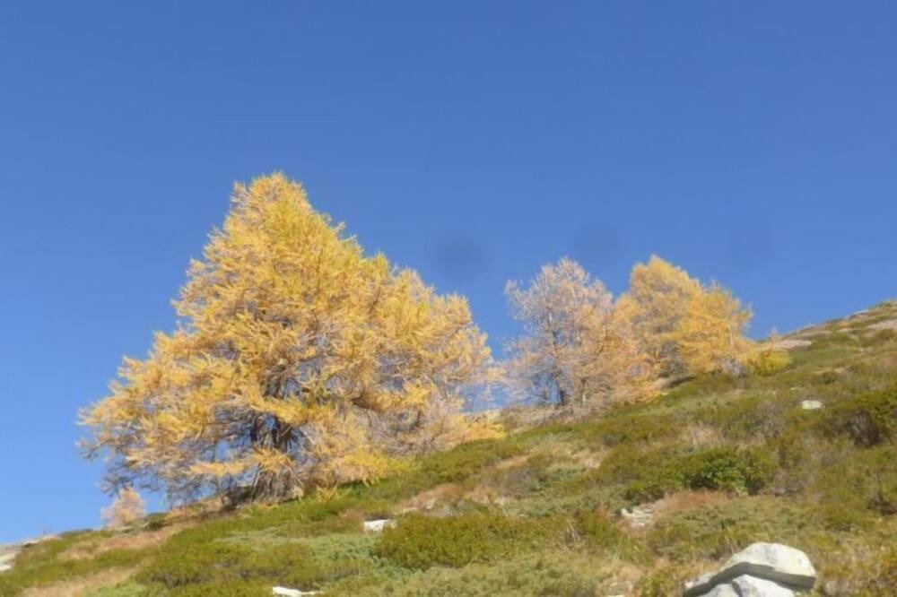 Photo of Outdoor in Saas Almagell