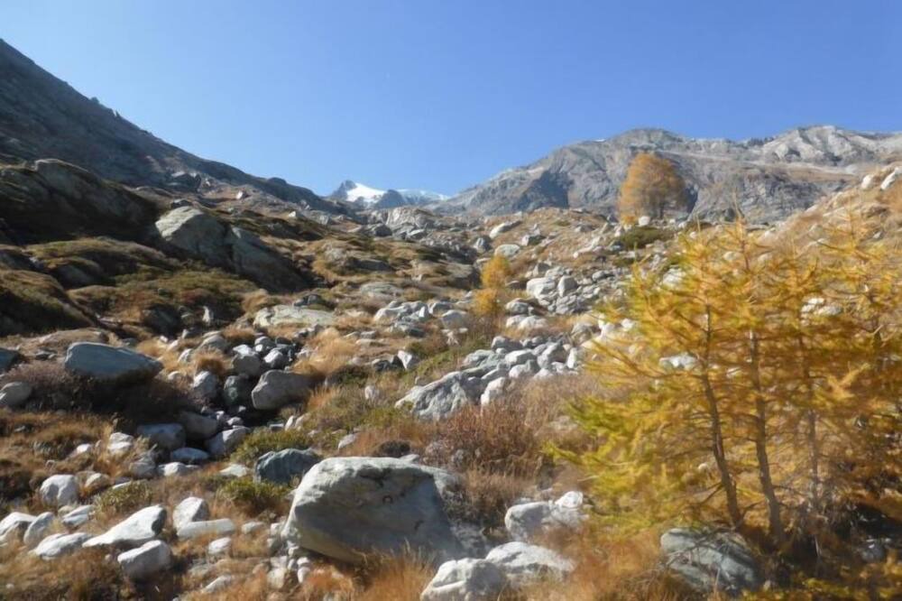 Photo of Outdoor in Saas Almagell