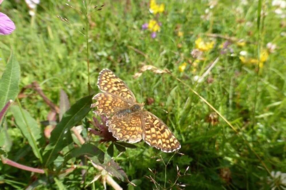 Photo of Outdoor in Saas Almagell