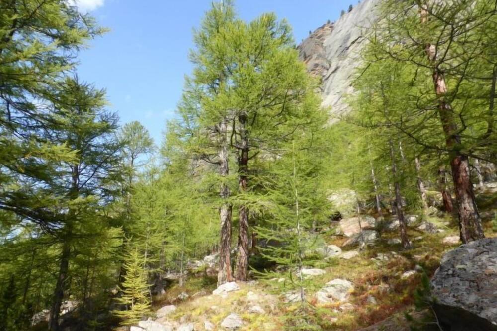 Photo of Outdoor in Saas Almagell
