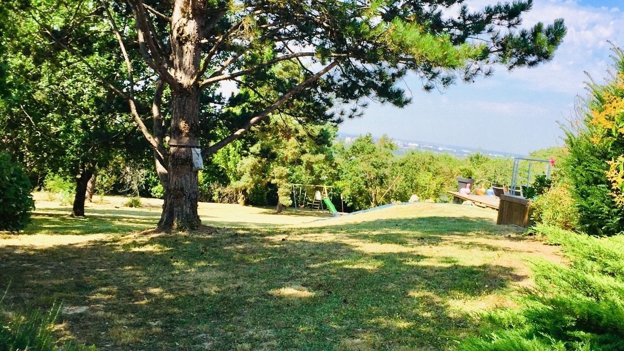 Photo of Outdoor in Montrabe