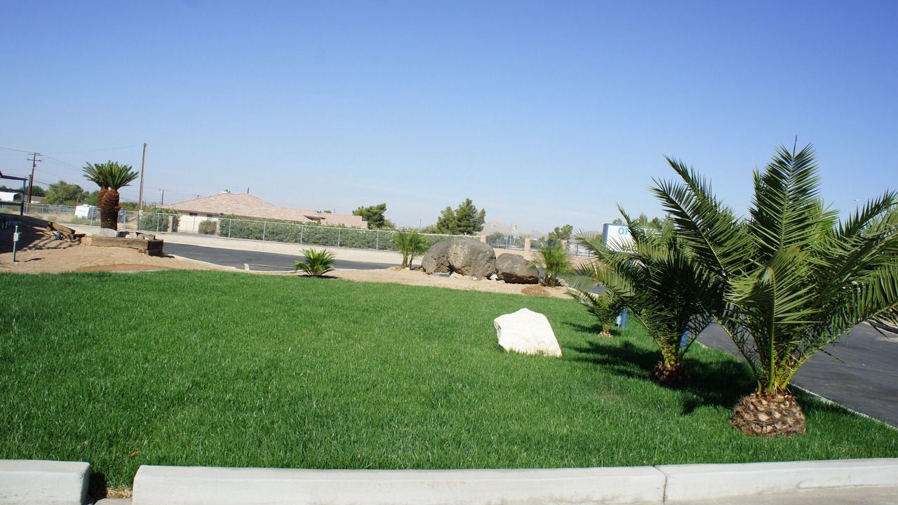 Photo of Outdoor in Victorville
