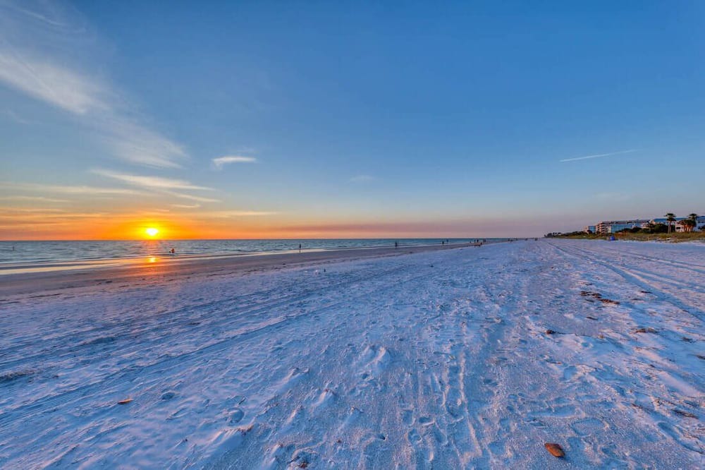 Photo of Others in Indian Rocks Beach