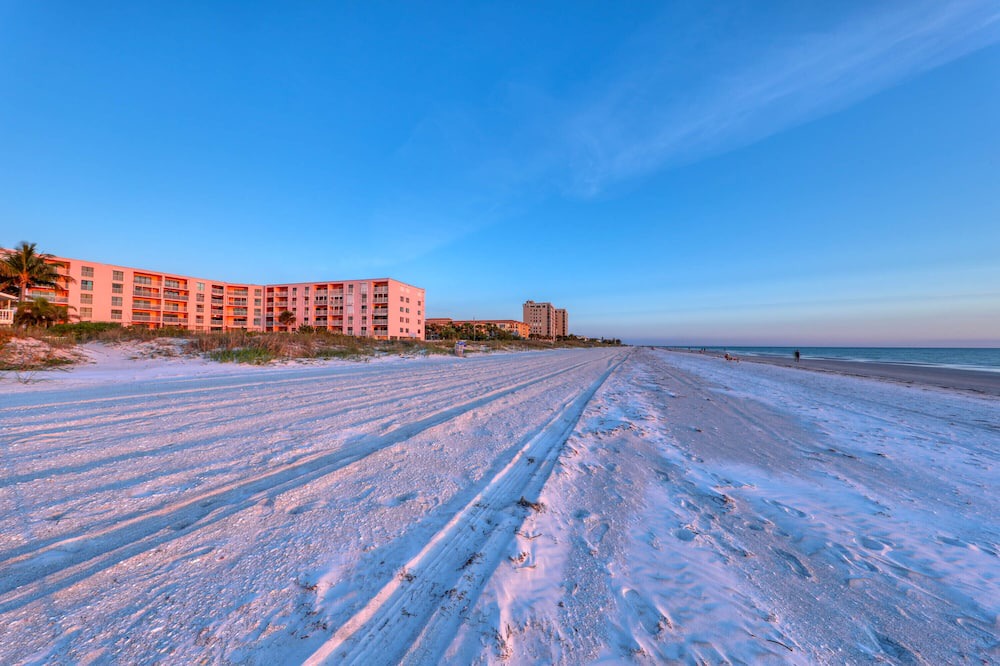 Photo of Others in Indian Rocks Beach