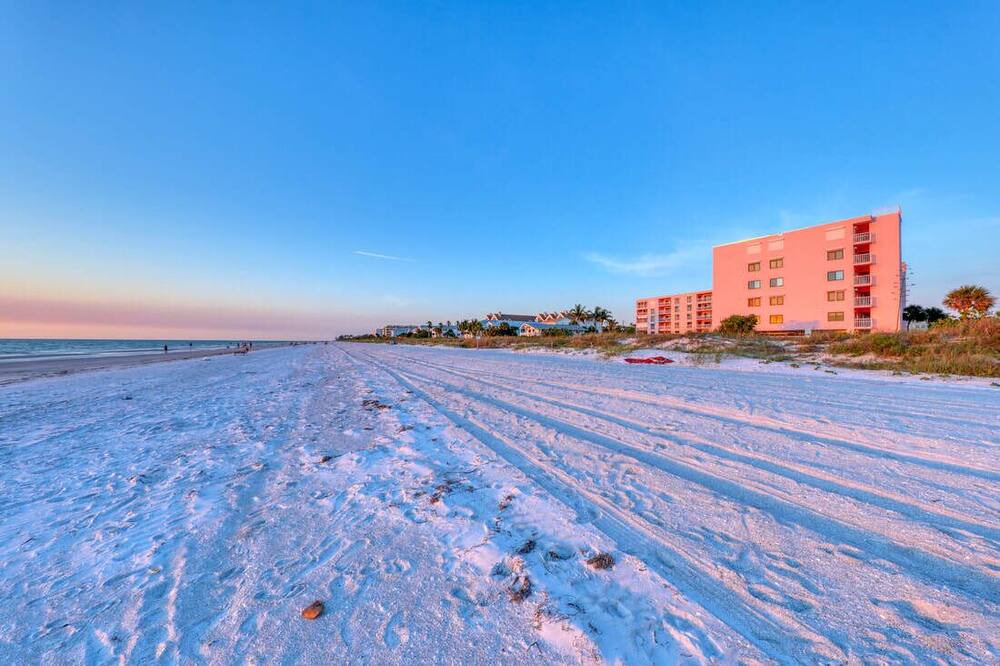 Photo of Others in Indian Rocks Beach