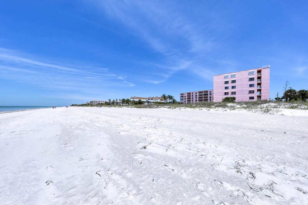 Photo of Others in Indian Rocks Beach
