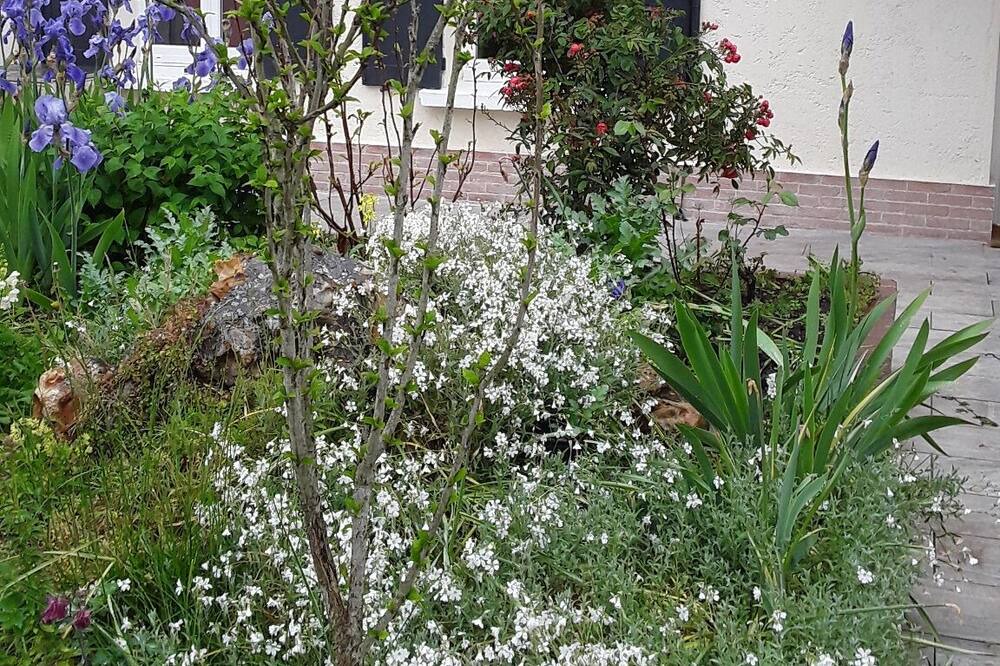 Photo of Outdoor in Gravigny